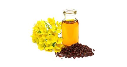 روغن گیاهی کلزا