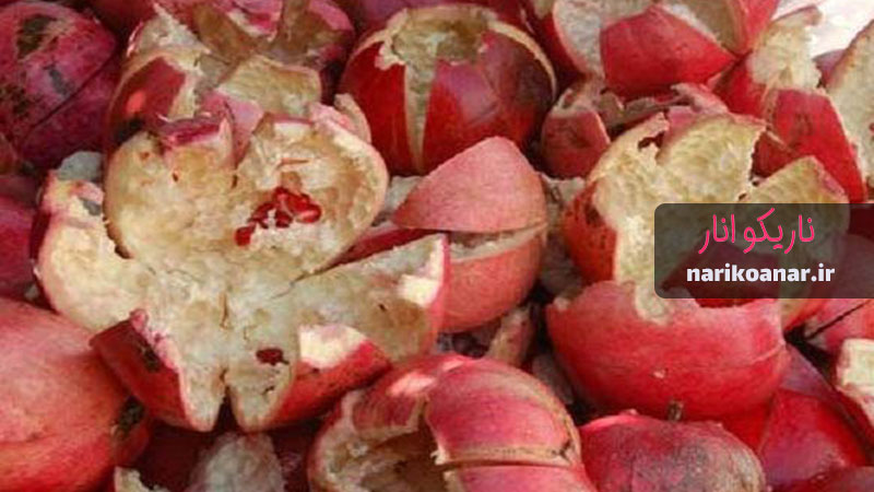 راهنمای خرید عمده پوست انار