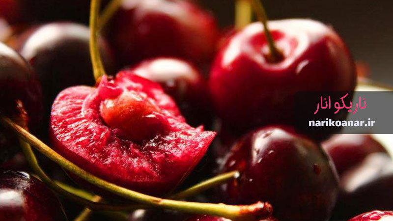 لیست قیمت هسته آلبالو 1402