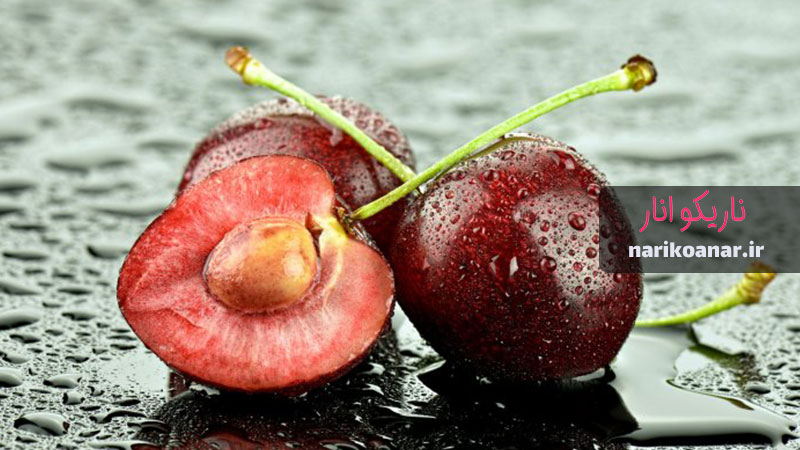 آشنایی کلی با خواص مغز هسته آلبالو