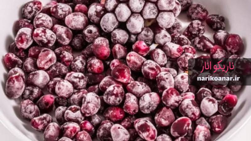خرید دانه انار فریز شده از ناریکو انار